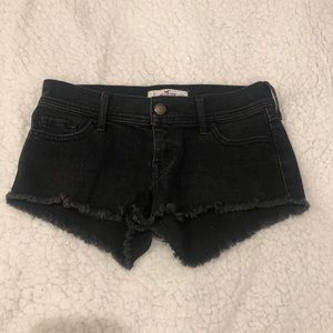 HOLLISTER Black Jean Shorts